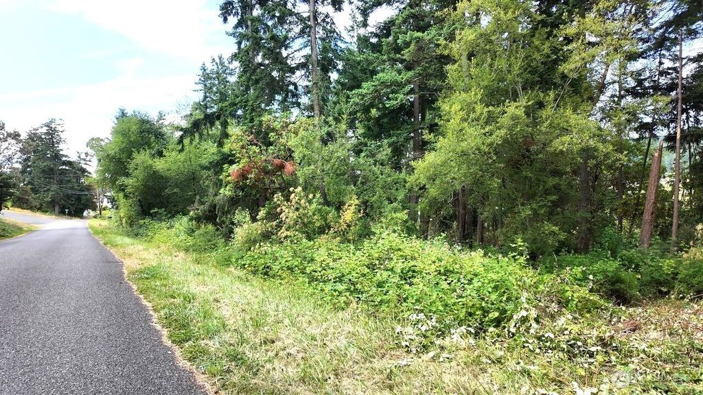 Photo of 0 Wagner Road, Camano Island, WA 98282 (MLS # 2507504)