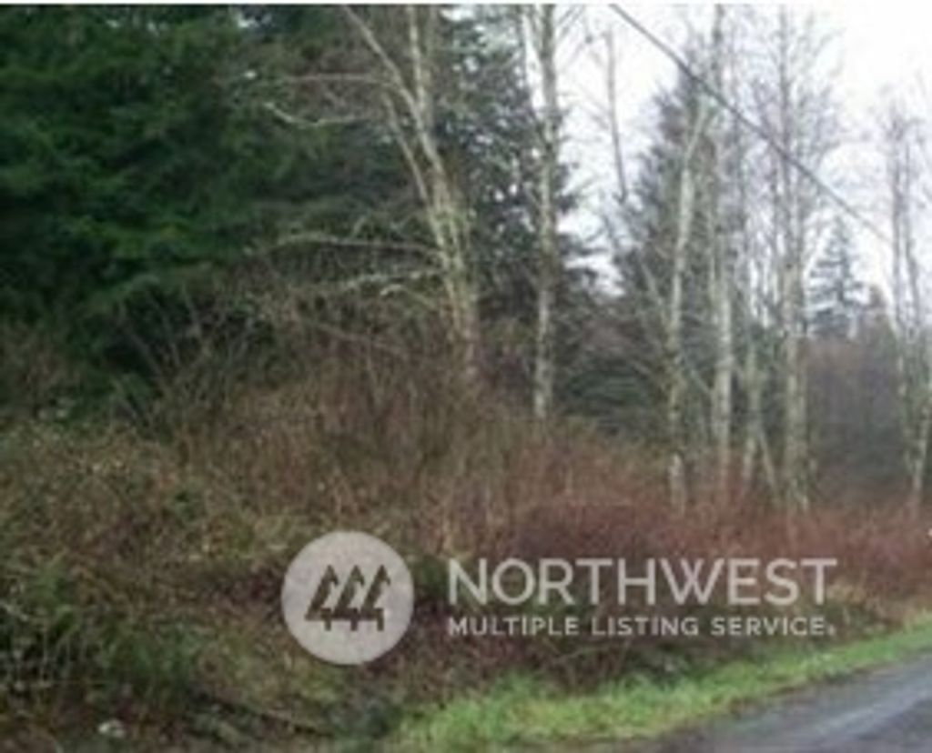 Photo of 33317 SE Kent Kangley Road, Ravensdale, WA 98051 (MLS # 2136061)