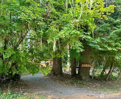 55918 317th Avenue E Ashford WA 98304