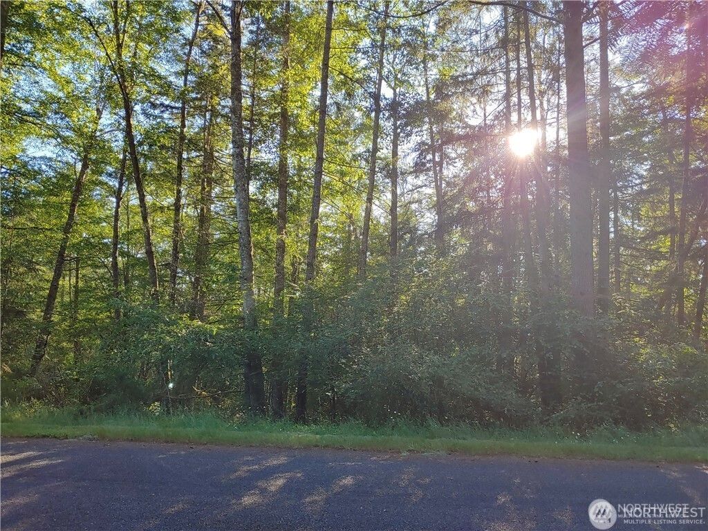 Photo of 8906 130th Avenue Ct, Anderson Island, WA 98303 (MLS # 2495926)