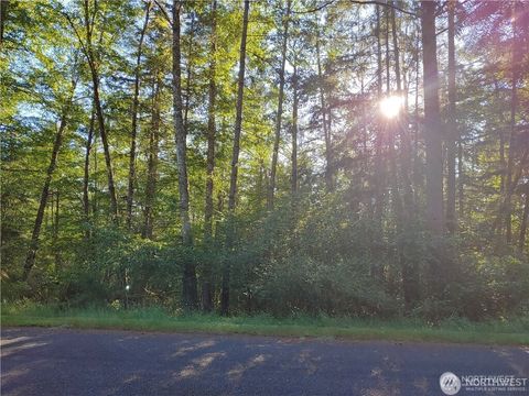 8906 130th Avenue Ct Anderson Island WA 98303