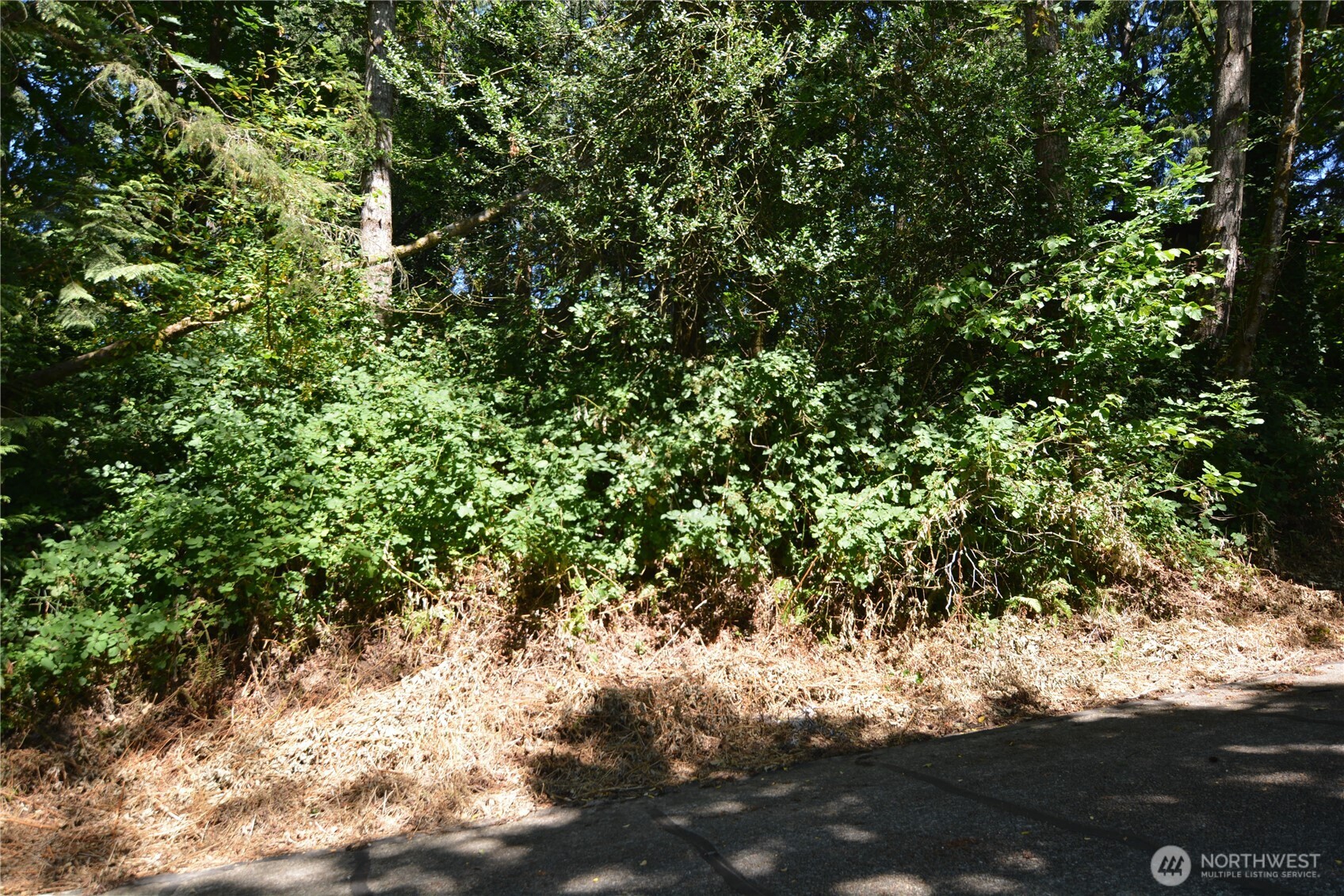 2428 Archwood Drive