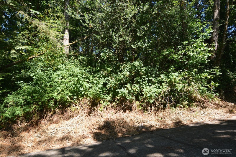 2428 Archwood Drive