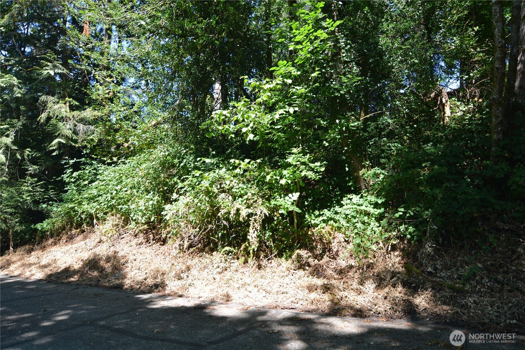 2428 Archwood Drive