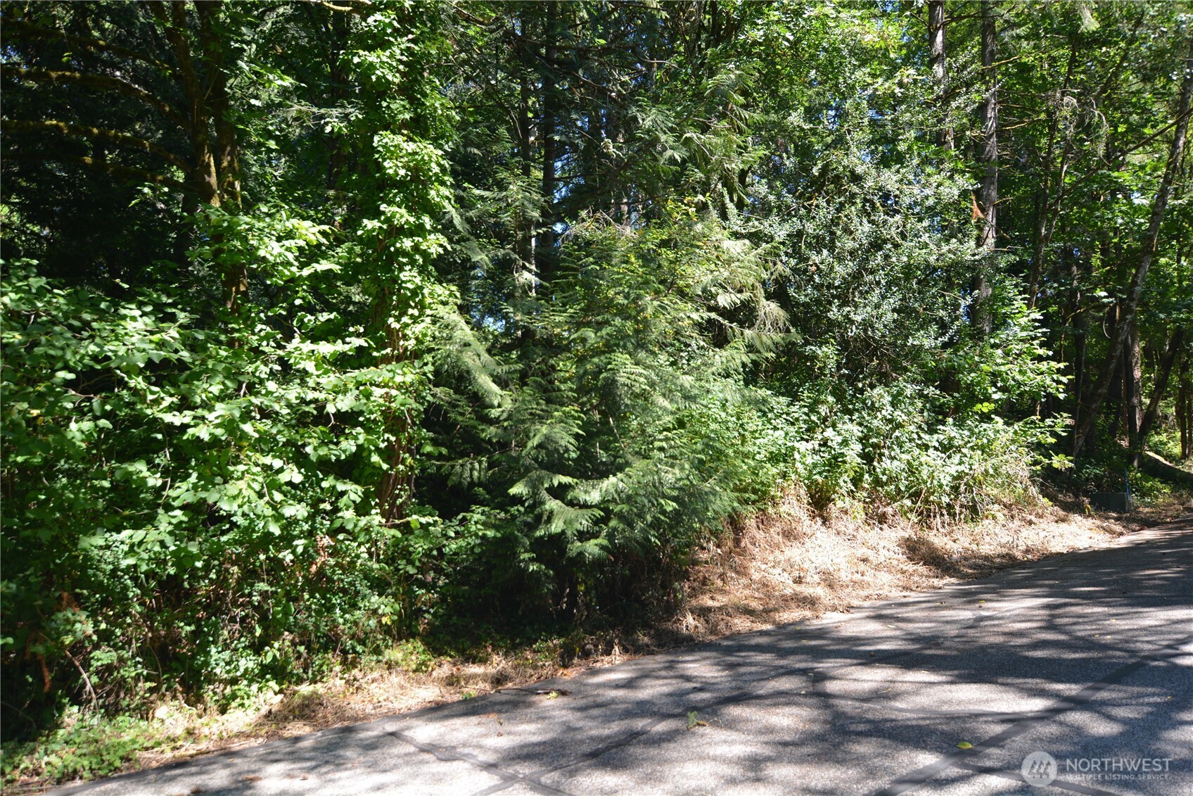 2428 Archwood Drive