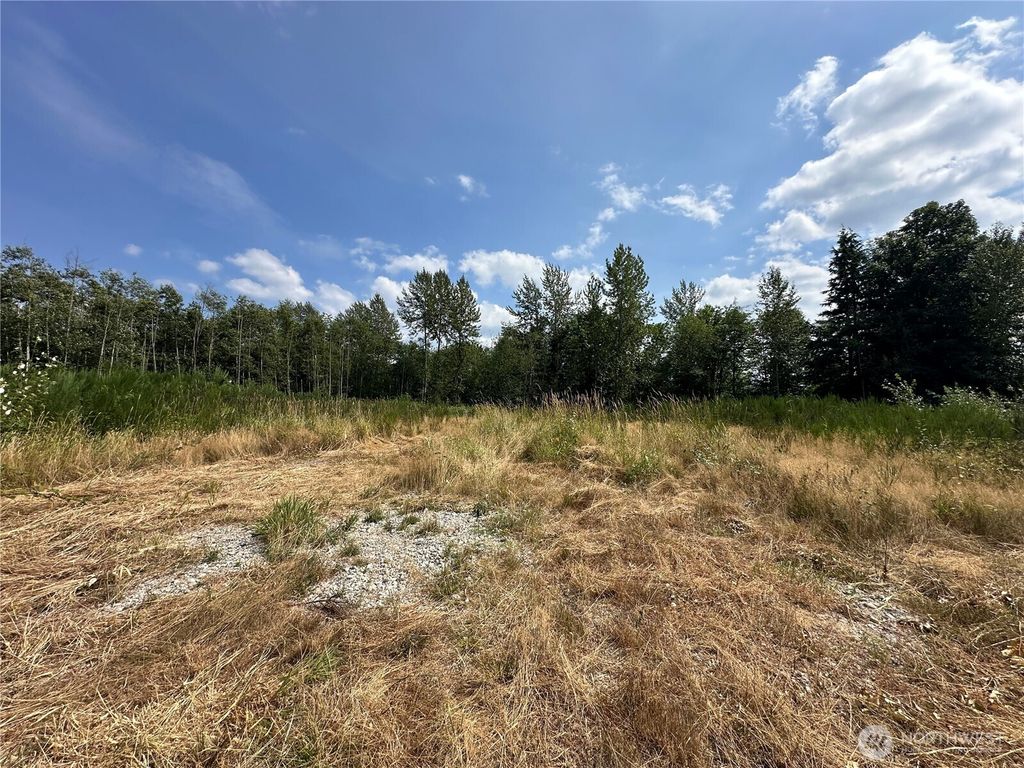 Photo of 14055 Sultan Basin Road, Sultan, WA 98294 (MLS # 2419116)