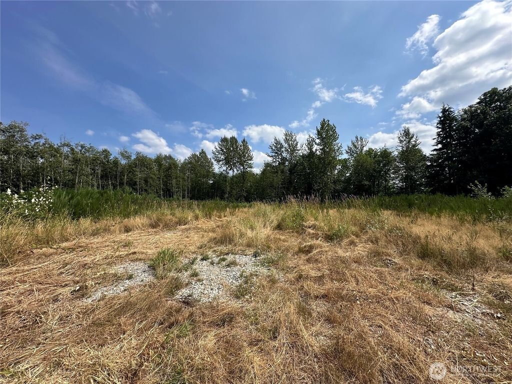 Photo of 14055 Sultan Basin Road, Sultan, WA 98294 (MLS # 2419116)