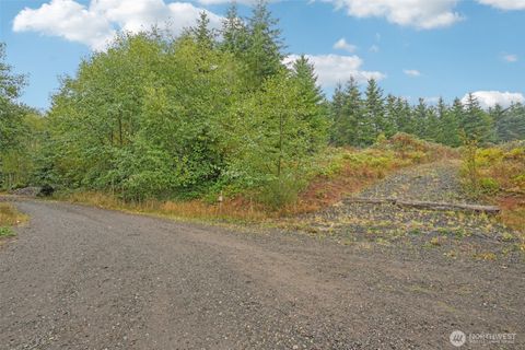 374 Bellwood Drive Castle Rock WA 98611