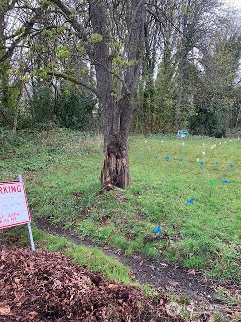 328 E 40th Street Tacoma WA 98404