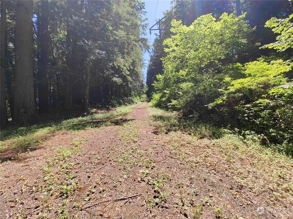 Photo of 0 xxxx Cedar Falls Avenue SE, North Bend, WA 98045 (MLS # 2255605)