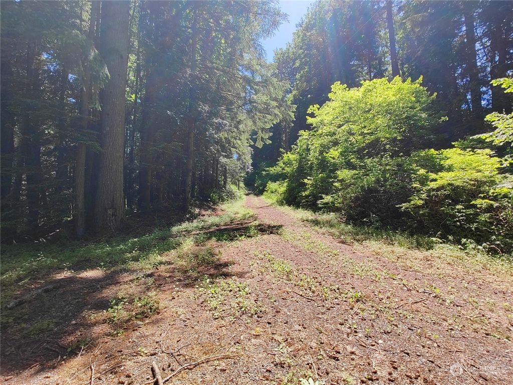 Photo of 0 xxxx Cedar Falls Avenue SE, North Bend, WA 98045 (MLS # 2255605)