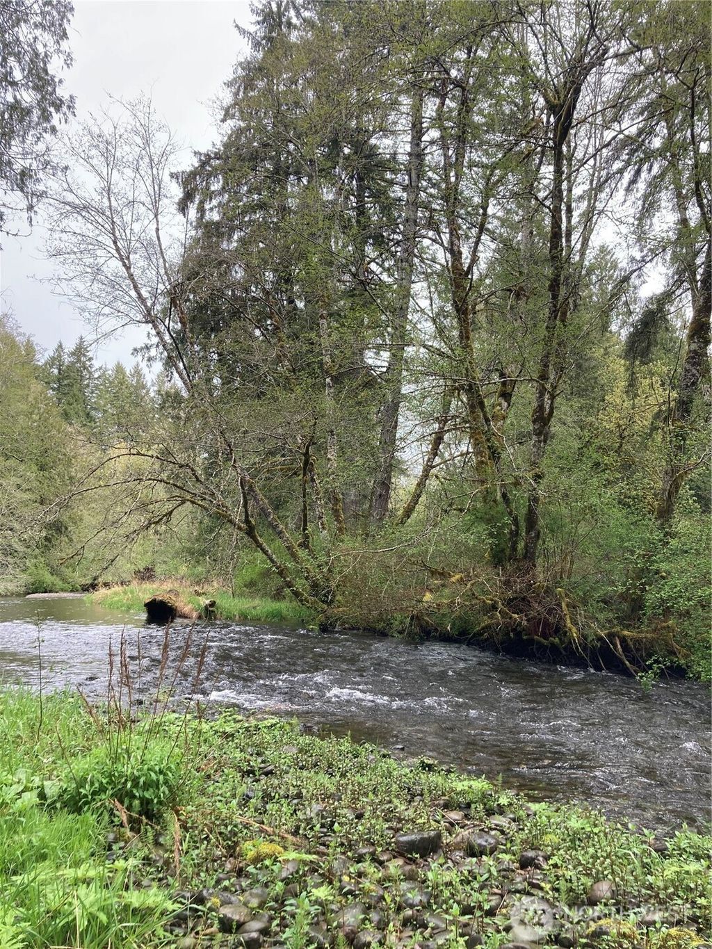 Photo of 0 East of Bingham Creek, Elma, WA 98541 (MLS # 2465199)