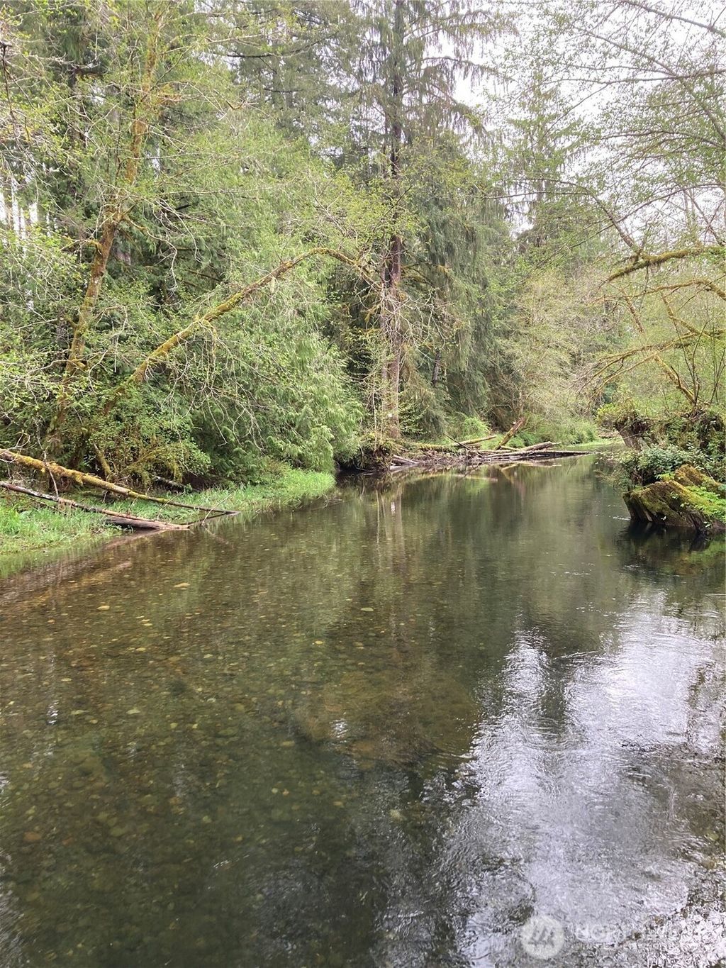 Photo of 0 East of Bingham Creek, Elma, WA 98541 (MLS # 2465199)