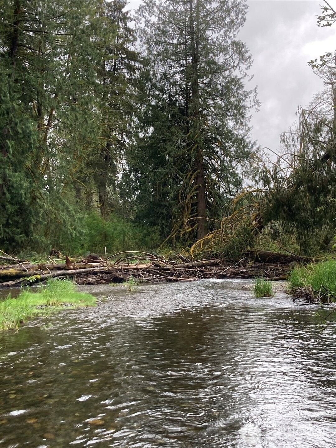 0 East of Bingham Creek