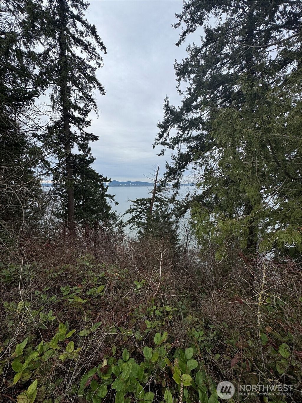 Photo of 103 xx Bayview Edison Road, Mount Vernon, WA 98273 (MLS # 2473387)