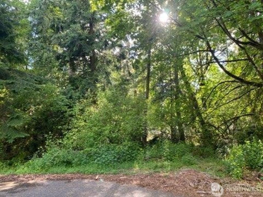 Photo of 10419 107th Street Ct, Anderson Island, WA 98303 (MLS # 2521115)
