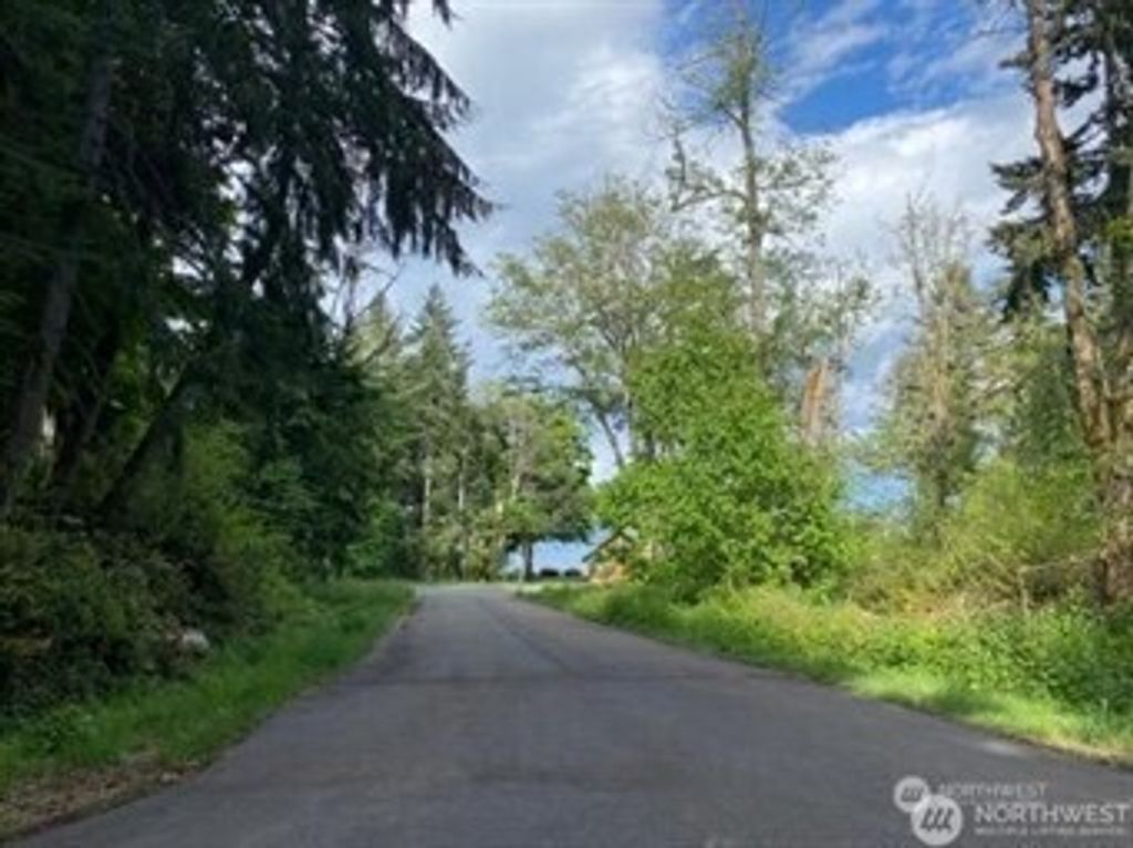Photo of 10419 107th Street Ct, Anderson Island, WA 98303 (MLS # 2521115)
