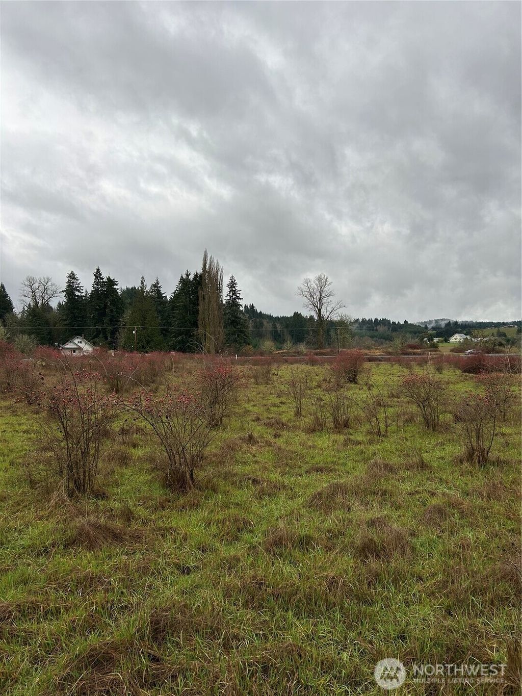 Photo of 218 Lincoln Creek Road, Centralia, WA 98531 (MLS # 2477038)