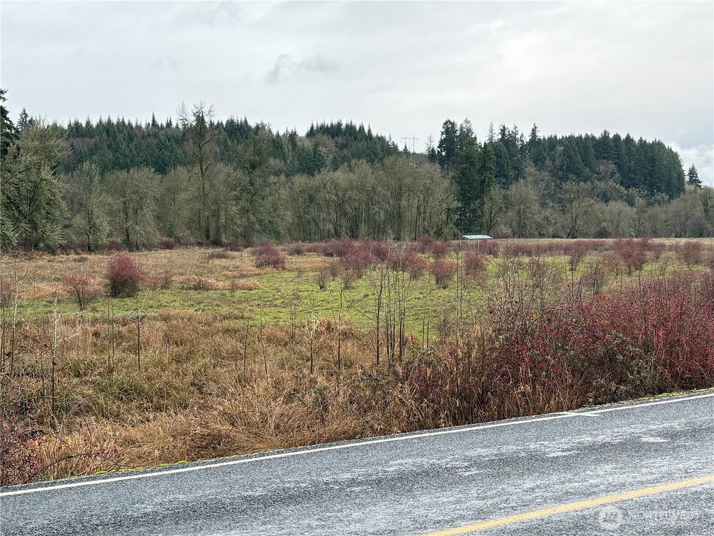 Photo of 218 Lincoln Creek Road, Centralia, WA 98531 (MLS # 2477038)