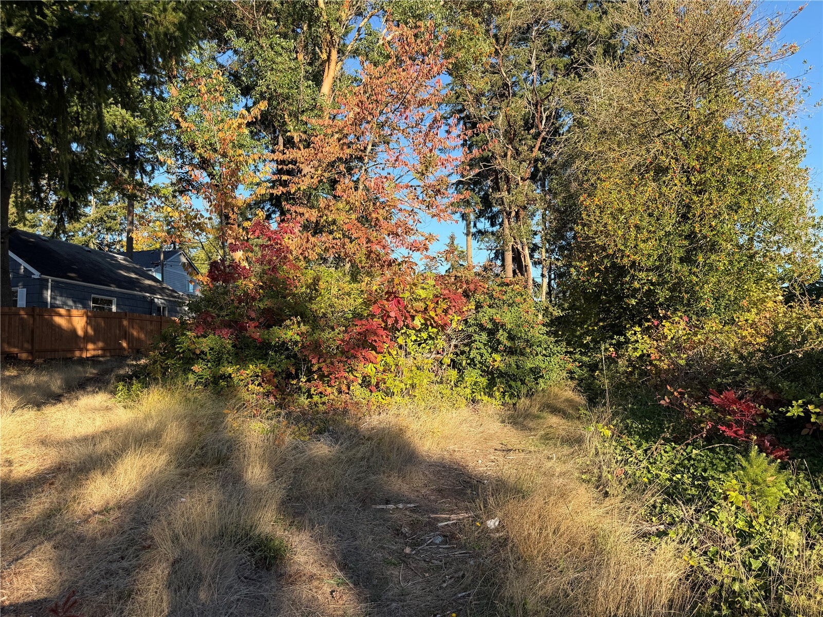 17 S Mason Avenue