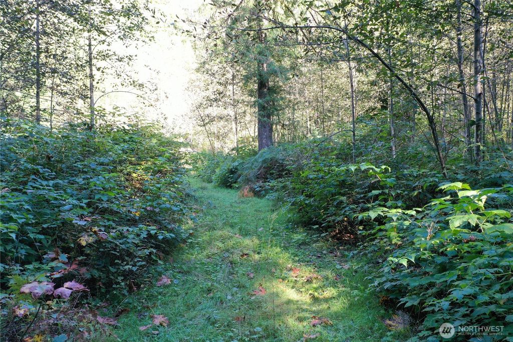 Photo of 0 Index Galina Road, Index, WA 98526 (MLS # 2418681)