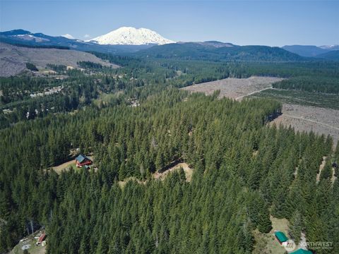 2 Loowit Lane Cougar WA 98616