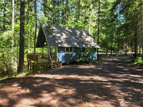 Photo of 331 N Wynoochee Drive, Hoodsport, WA 98548 (MLS # 2505804)