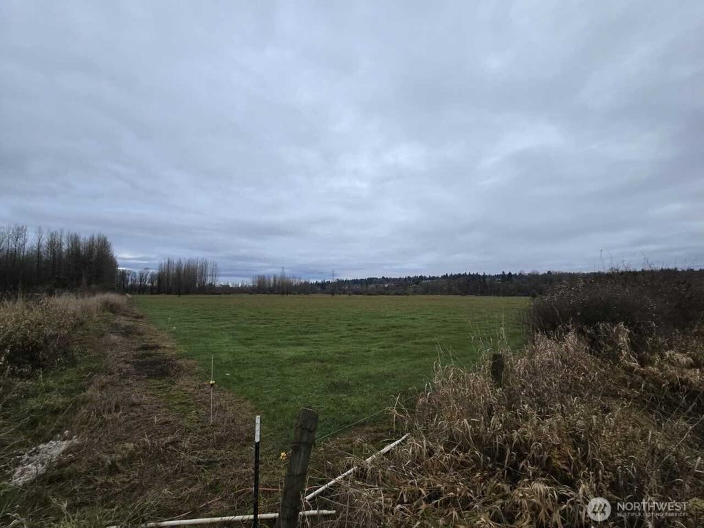 Photo of 255 XX NE 138th Street, Duvall, WA 98019 (MLS # 2517709)