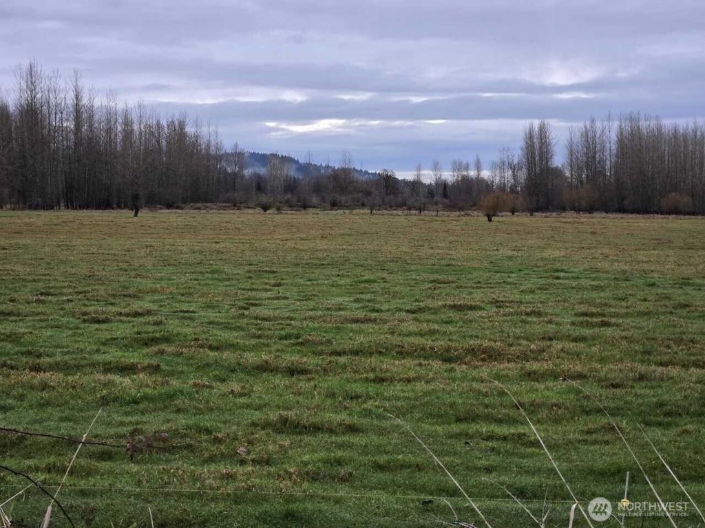 Photo of 255 XX NE 138th Street, Duvall, WA 98019 (MLS # 2517709)