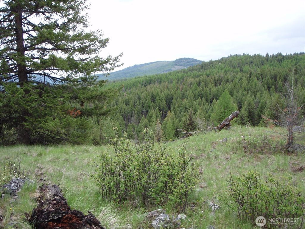 Photo of 0 Edgewood Lane, Curlew, WA 99118 (MLS # 2496531)