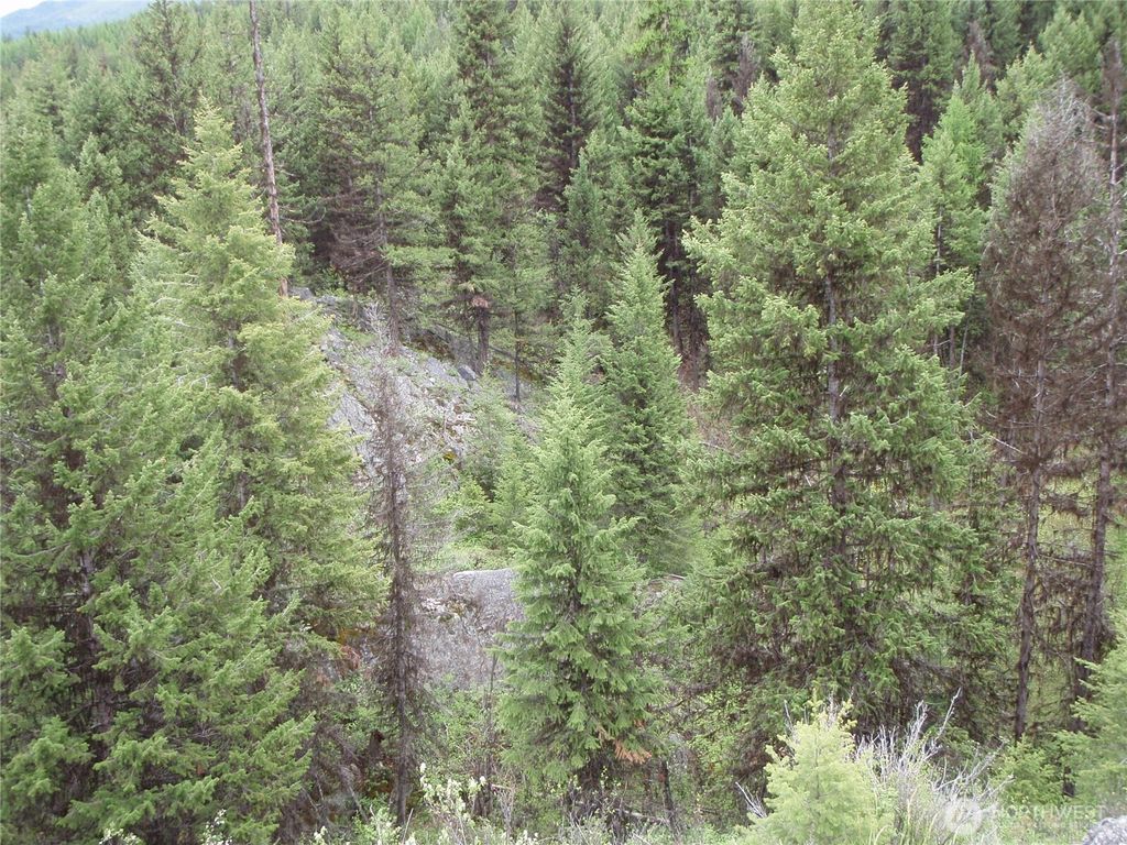 Photo of 0 Edgewood Lane, Curlew, WA 99118 (MLS # 2496531)