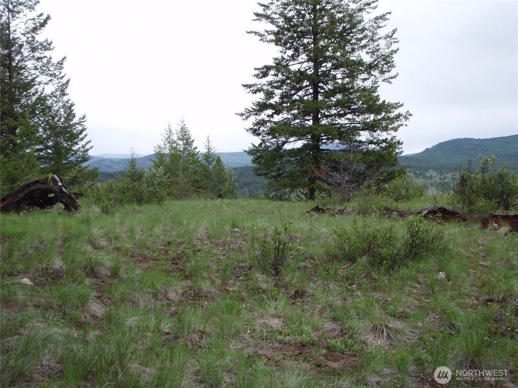 Photo of 0 Edgewood Lane, Curlew, WA 99118 (MLS # 2496531)