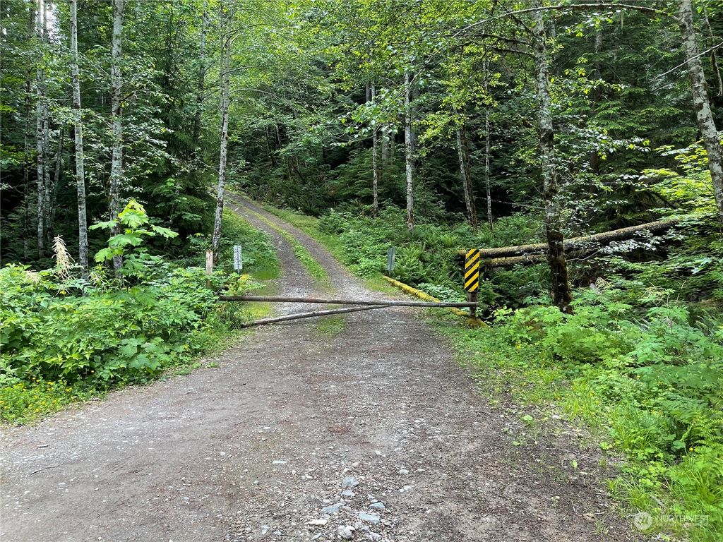 Photo of 0 XX Anthracite Creek Road, Skykomish, WA 98288 (MLS # 2129455)