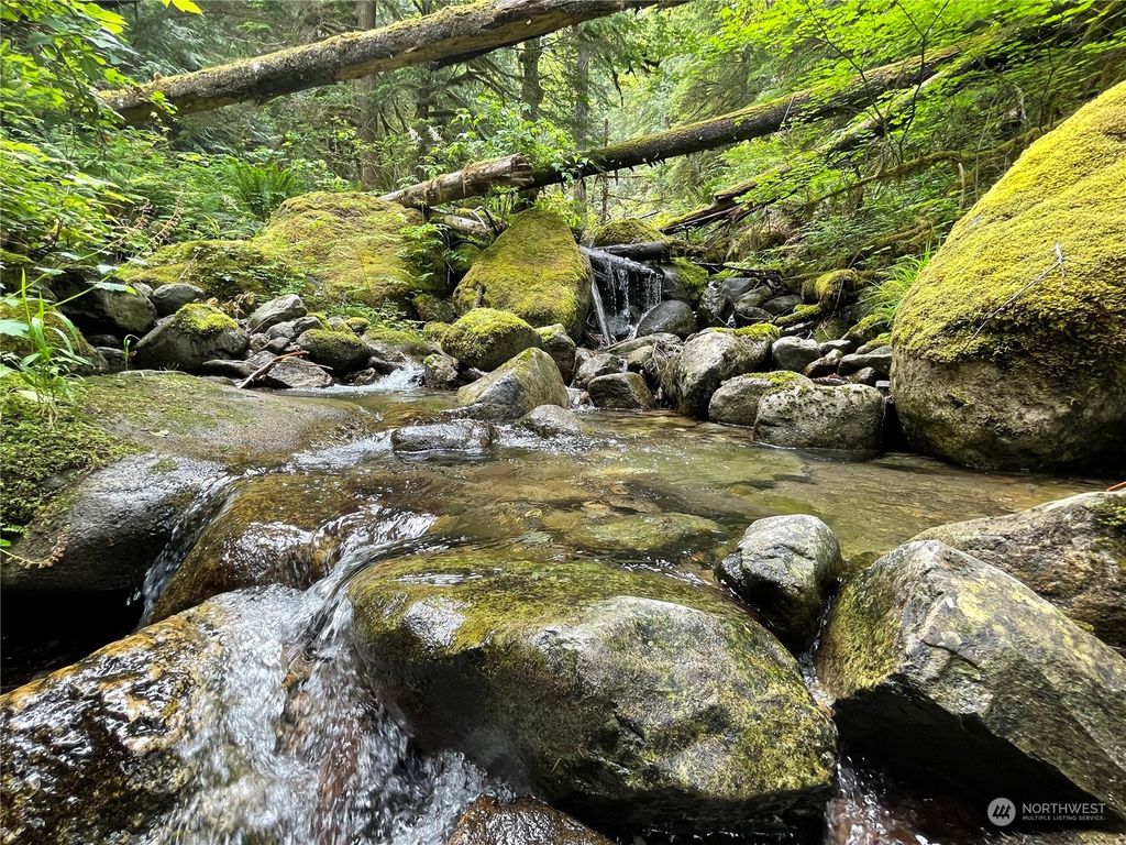 Photo of 0 XX Anthracite Creek Road, Skykomish, WA 98288 (MLS # 2129455)