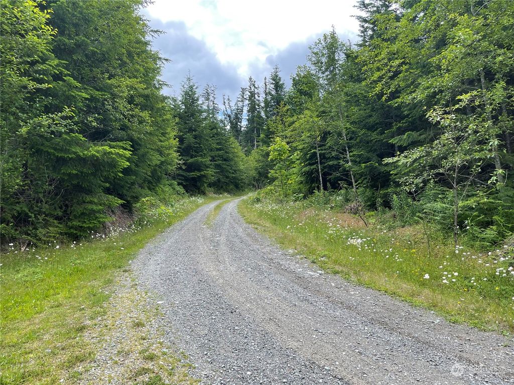 Photo of 0 XX Anthracite Creek Road, Skykomish, WA 98288 (MLS # 2129455)