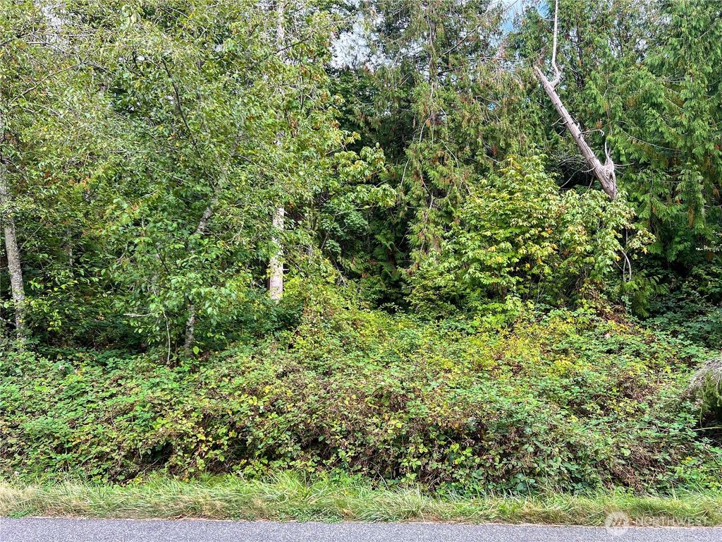 listing image 9369388900600743537