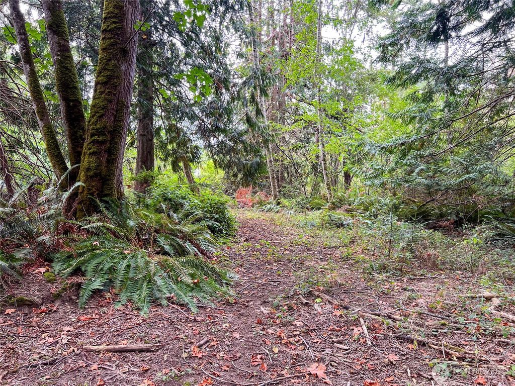 listing image 9360365144512923909