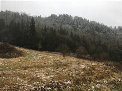 Photo of 2 XXXX Duvall-Monroe Rd NE, Duvall, WA 98019 (MLS # 2460750)