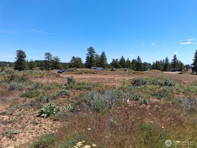 113 Falcon Ridge Road