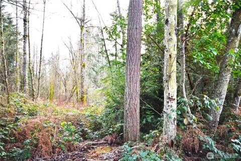 Photo of 0 SE Cleveland Avenue, Port Orchard, WA 98366 (MLS # 2467182)