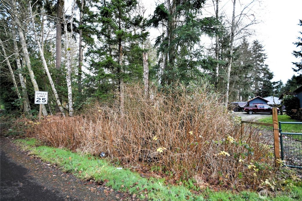 Photo of 0 SE Cleveland Avenue, Port Orchard, WA 98366 (MLS # 2467182)