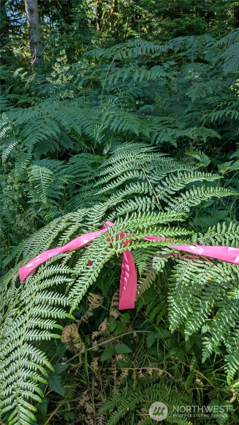 7521 Woods Lake Road