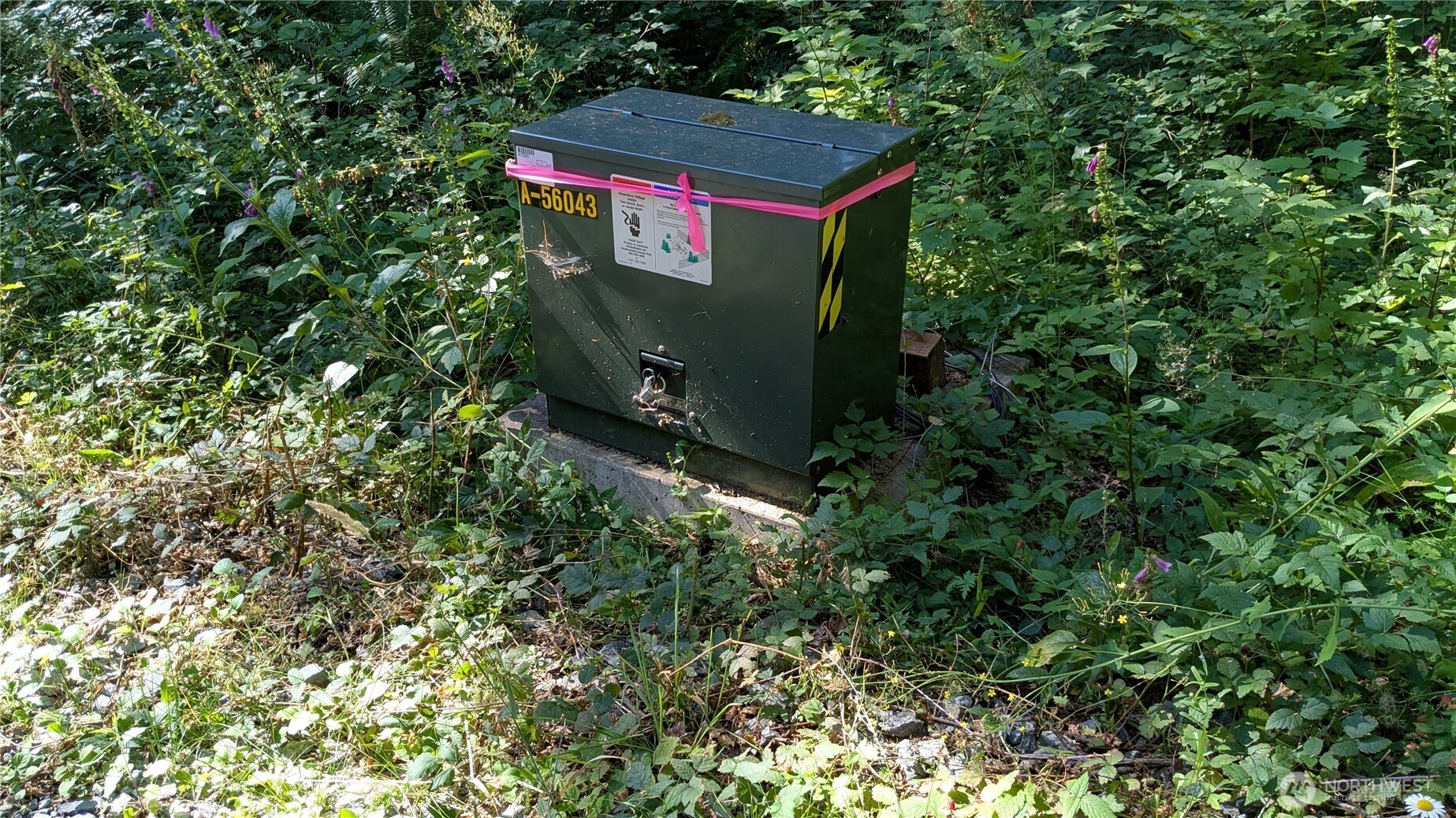 7521 Woods Lake Road