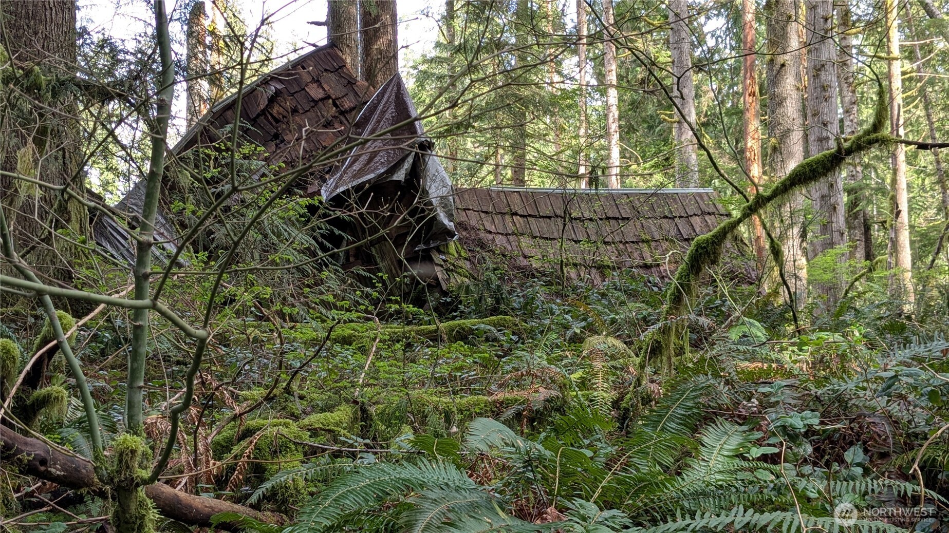 7521 Woods Lake Road