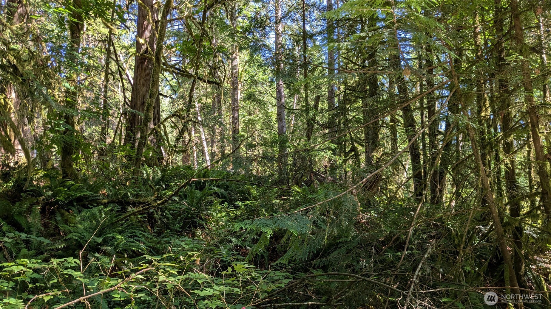 7521 Woods Lake Road