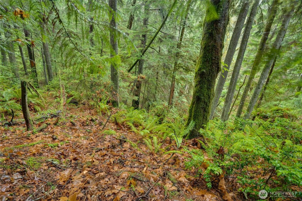 Photo of 2909 144th Street NW, Gig Harbor, WA 98332 (MLS # 2459569)