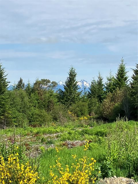 Photo of 1 E Lone Fir Dr Road E, Shelton, WA 98584 (MLS # 1987075)