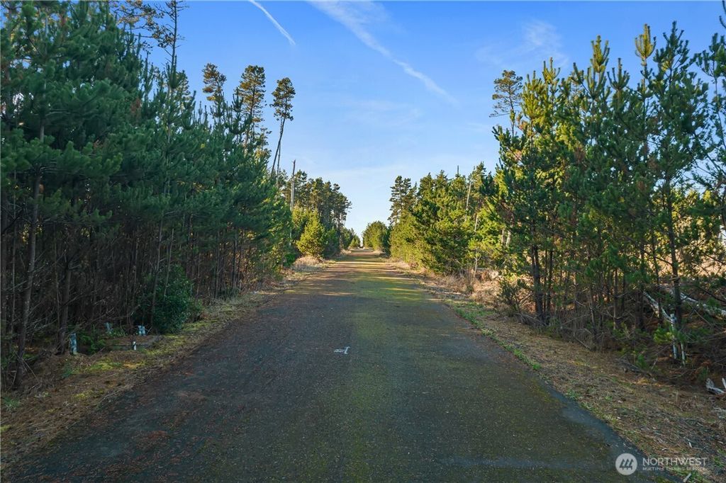 Photo of 0 Lot 4 212th Lane, Ocean Park, WA 98640 (MLS # 2499507)