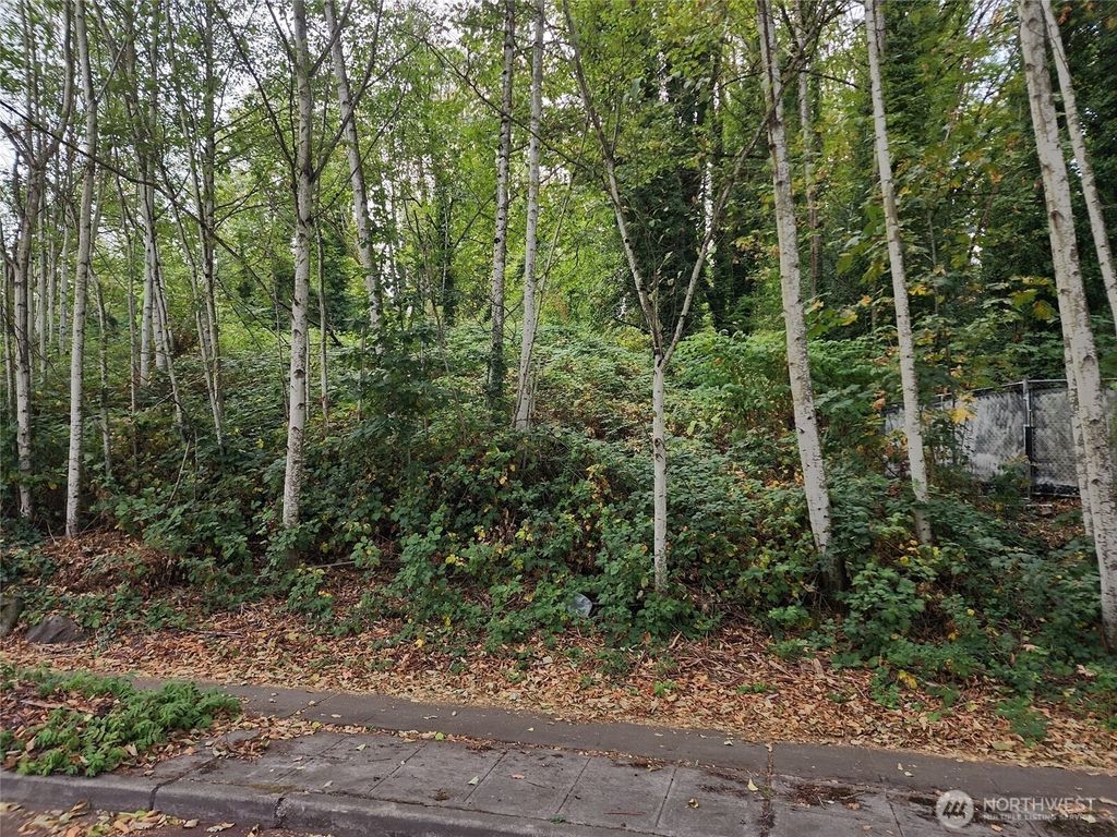 Photo of 9611 Martin Luther King Jr Way S, Seattle, WA 98118 (MLS # 2429717)
