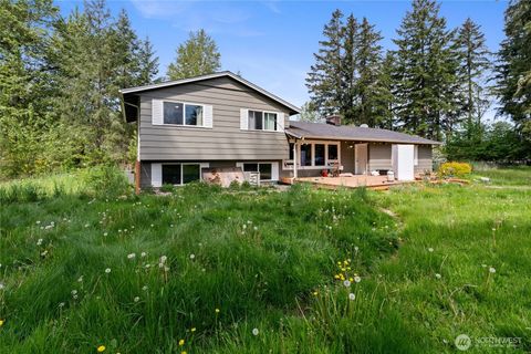 Photo of 422 336th Street E, Roy, WA 98580 (MLS # 2524463)